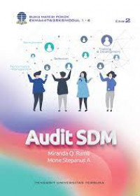 Image of Audit SDM