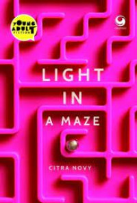 Light in a Maze