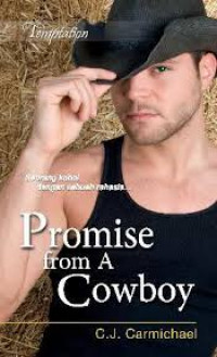 Promise From a Cowboy